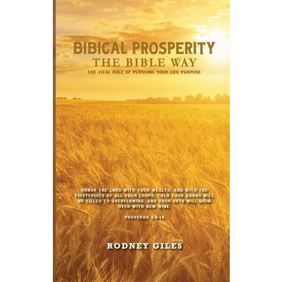 Biblical Prosperity The Bible Way