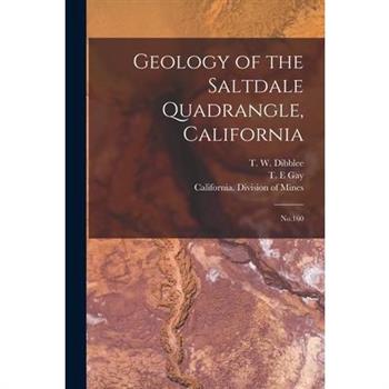 Geology of the Saltdale Quadrangle, California