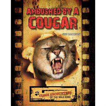 Ambushed by a Cougar