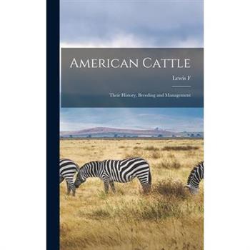 American Cattle