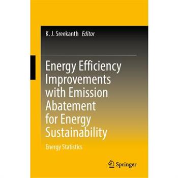 Energy Efficiency Improvements with Emission Abatement for Energy Sustainability
