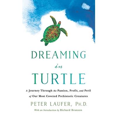 Dreaming in Turtle