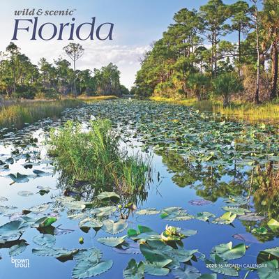 Florida Wild & Scenic 2025 12 X 24 Inch Monthly Square Wall Calendar Plastic-Free Florida Wild & Scenic 2025 12 X 24 Inch Monthly Square Wall Calendar Plastic-Free