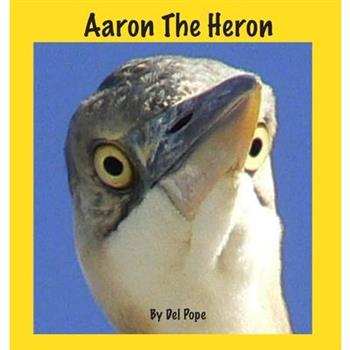 Aaron The Heron