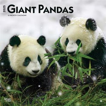 Giant Pandas 2025 12 X 24 Inch Monthly Square Wall Calendar Plastic-Free Giant Pandas 2025 12 X 24 Inch Monthly Square Wall Calendar Plastic-Free