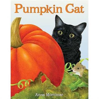 Pumpkin Cat