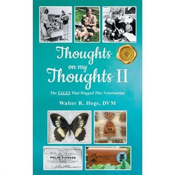 Thoughts on my Thoughts II