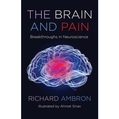 The Brain and Pain
