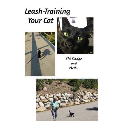 Leash Training Your Cat