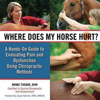 Where Does My Horse Hurt?