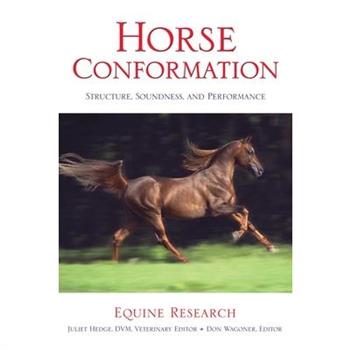 Horse Conformation