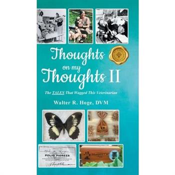 Thoughts on my Thoughts II