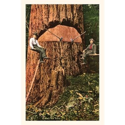 Vintage Journal Giant Fir Tree