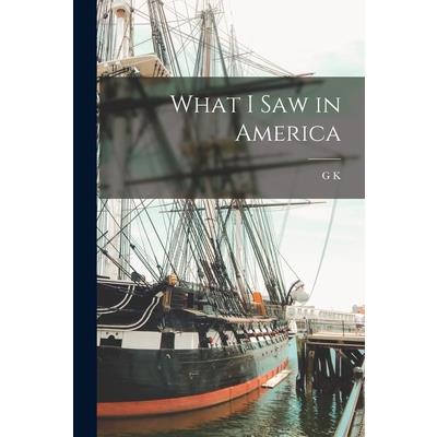 What I saw in America
