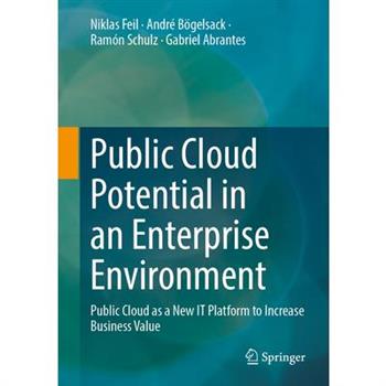 Public Cloud Potential in an Enterprise Environment