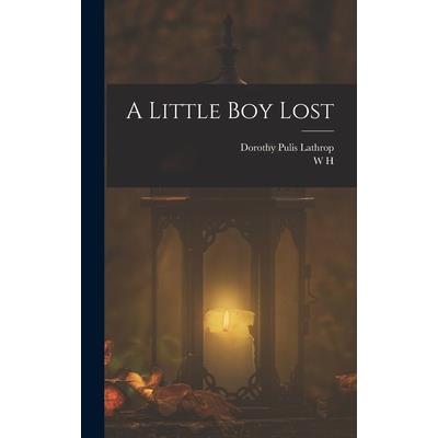 A Little boy Lost