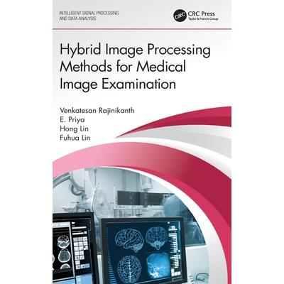Hybrid Image Processing Methods for Medical Image Examination