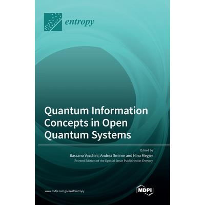 Quantum Information Concepts in Open Quantum Systems