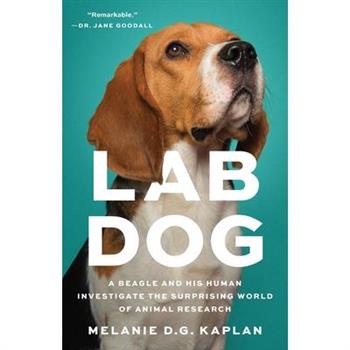 Lab Dog