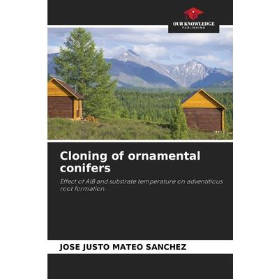 Cloning of ornamental conifers