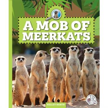 A Mob of Meerkats