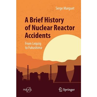 A Brief History of Nuclear Reactor Accidents