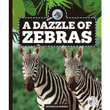A Dazzle of Zebras