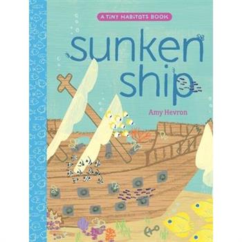 Sunken Ship