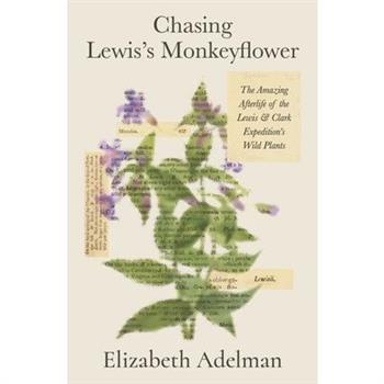 Chasing Lewis's Monkeyflower