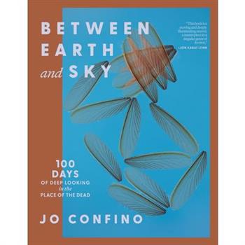 Between Earth and Sky