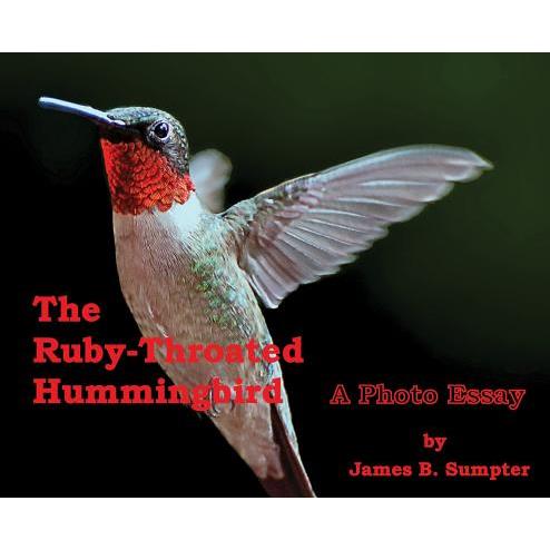 The Ruby-throated Hummingbird