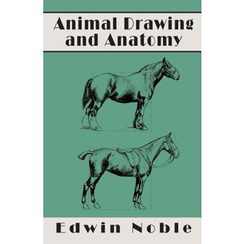 Animal Drawing and Anatomy