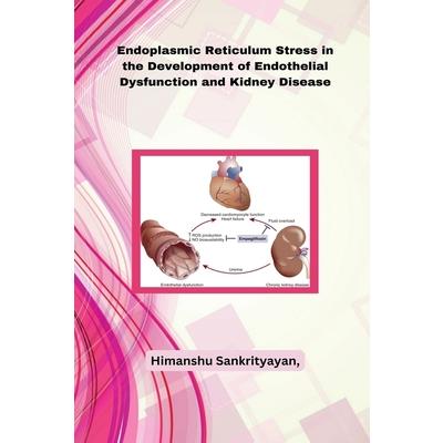 Endoplasmic Reticulum Stress in the Development of Endothelial Dysfunction and Kidney Disease