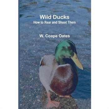 Wild Ducks