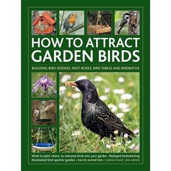 How to Attract Garden Birds