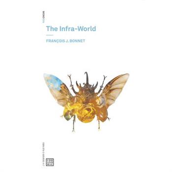 The Infra-world