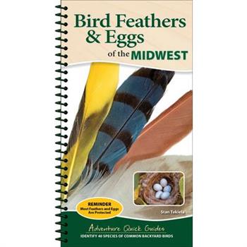 Bird Feathers & Eggs of the Midwest