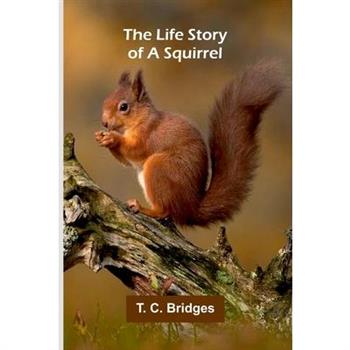 The life story of a squirrel