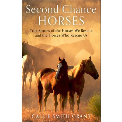 Second-Chance Horses