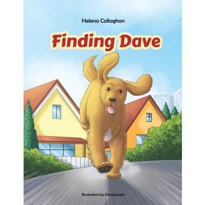 Finding Dave