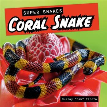 Coral Snake