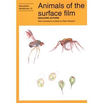 Animals of the surface film