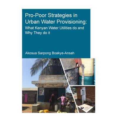 Pro-Poor Strategies in Urban Water Provisioning