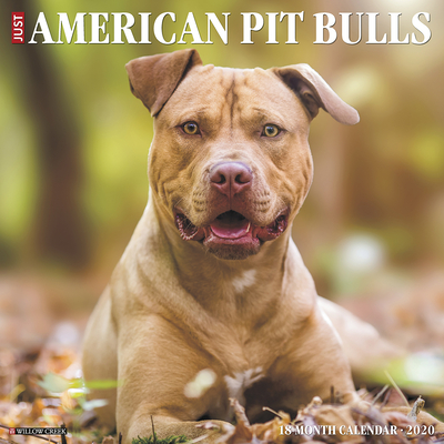 Just American Pit Bull Terrier(Wall)