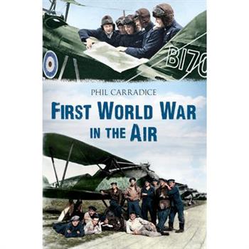 The First World War in the Air