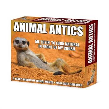 Animal Antics 2026 5.4 X 6.2 Box Calendar