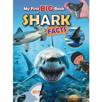 My First Big Book of Shark Facts