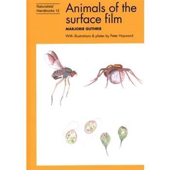 Animals of the surface film