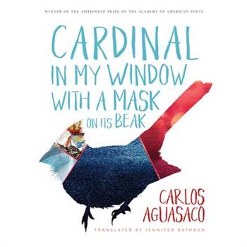 Cardinal in My Window with a Mask on Its Beak