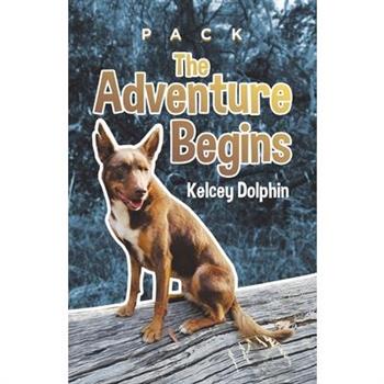 The Adventure Begins